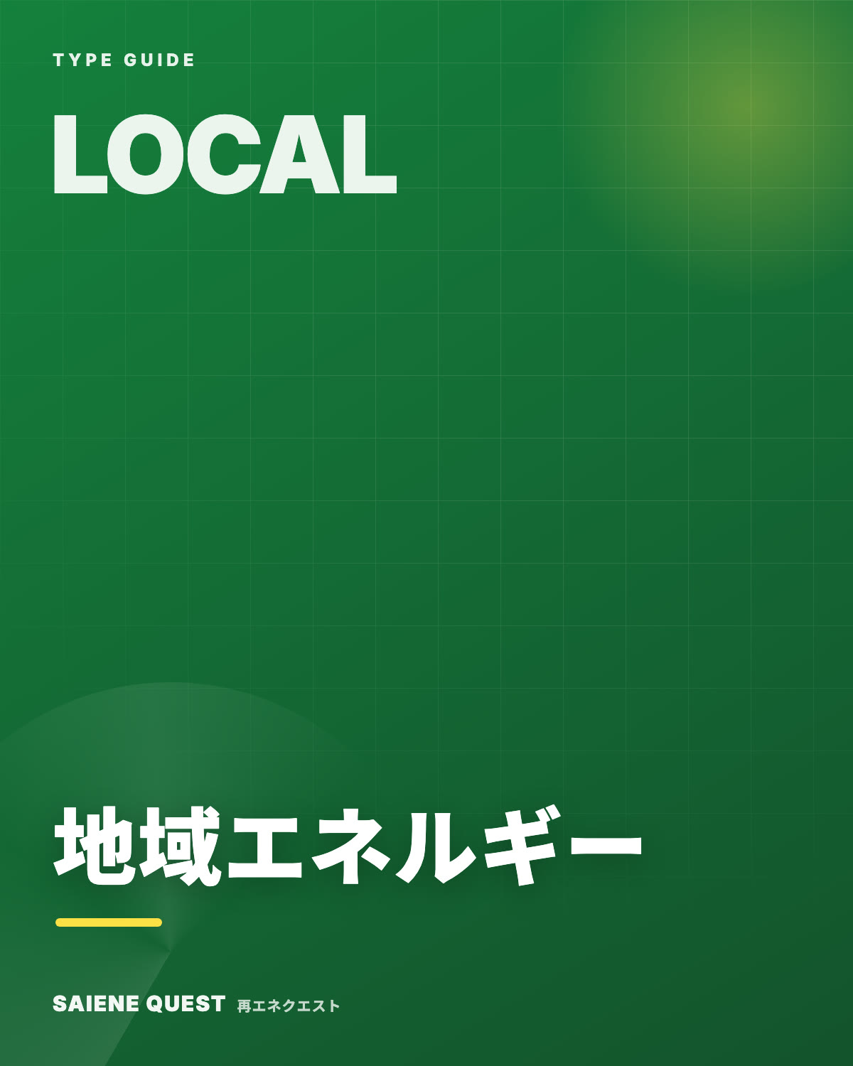 地域エネルギータイプの戦い方ガイド 表紙